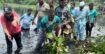 উত্তরায় খাল পরিচ্ছন্নতায় তৃণমূল সক্রিয়, নেতৃত্বে আফাজ উদ্দিন