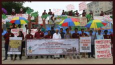 ইলিশের পথ রুখছে কয়লাভিত্তিক বিদ্যুৎকেন্দ্র, রাস্তায় নামলো নাগরিক সমাজ