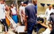 জয়পুরহাটে স্বামীর ধারালো অস্ত্রের আঘাতে স্ত্রী নিহত, ঘাতক স্বামী আটক
