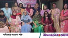 বাংলাদেশ উইমেন জার্নালিস্ট ফোরামের নতুন কমিটি গঠন