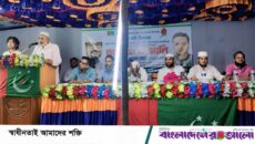 মতলব উত্তর সাদুল্লাপুর ও বাগানবাড়ি ইউনিয়নে জাকের পার্টির জনসভা অনুষ্ঠিত