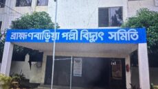 বিদ্যুৎ খাতে অস্থিরতা: গণছুটিতে ৭০০ কর্মচারী, শঙ্কায় লাখো গ্রাহক