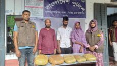 নওগাঁয় ডিবির অভিযানে ৭ কেজি গাঁজাসহ স্বেচ্ছাসেবক দলের নেতাসহ আটক ৩