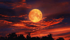 এ সপ্তাহে আকাশে দেখা যাবে ‘ব্লাড মুন’