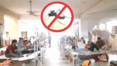 ডেঙ্গু রোগীদের চিকিৎসায় স্বাস্থ্য অধিদফতরের নতুন নির্দেশনা