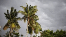 দুপুরের মধ্যে সাত জেলায় ঝড়ের পূর্বাভাস