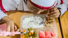 ইন্দোনেশিয়ায় স্কুলে সরবরাহকৃত খাবার খেয়ে অসুস্থ হাজারো শিক্ষার্থী