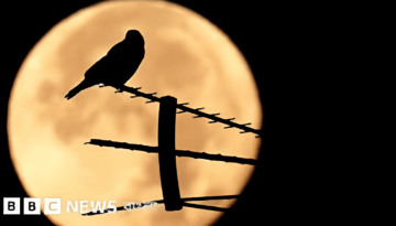 অক্টোবরেই দেখা যাবে হার্ভেস্ট সুপারমুন