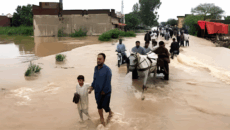 পাকিস্তানের পাঞ্জাবে ভারী বৃষ্টি ও বন্যায় ৩৩ জনের প্রাণহানি