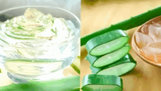 ত্বকের উজ্জ্বলতায় যে ভাবে ব্যবহার করবেন অ্যালোভেরা