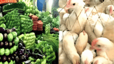 সবজির দামে অস্বস্তি, ব্রয়লারের বাজারও চড়া