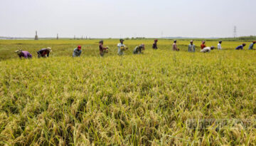 ভূমি ব্যবহার ও কৃষিভূমি সুরক্ষায় কঠোর বিধান