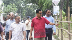 ঢাকা দক্ষিণ সিটির ৩১ কিলোমিটার রোড মিডিয়ানে সবুজায়ন কর্মসূচির উদ্বোধন করলেন ডিএসসিসি প্রশাসক 