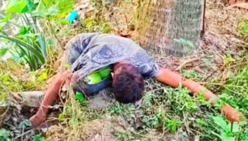 নওগাঁয় ডাব চুরি করতে গিয়ে গাছ থেকে পড়ে এক ব্যক্তির মর্মান্তিক মৃত্যু