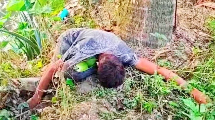নওগাঁয় ডাব চুরি করতে গিয়ে গাছ থেকে পড়ে এক ব্যক্তির মর্মান্তিক মৃত্যু