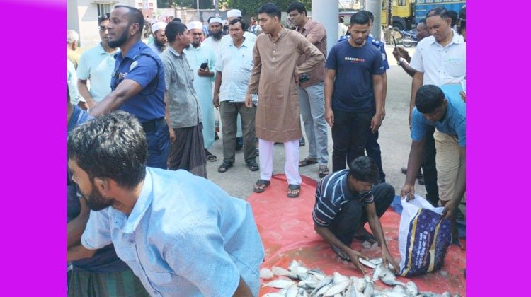 মাছের গন্ধ নয়, মানবতার সুবাস: বাউফলে জব্দ ইলিশ এতিমদের মাঝে বিতরণ