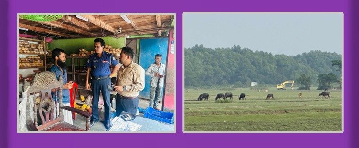 রাঙ্গাবালীতে অবৈধভাবে মাটি কাটায় একজনের কারাদণ্ড, তিন প্রতিষ্ঠানকে জরিমানা