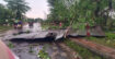 নওগাঁয় ঝড়ের তাণ্ডবে লণ্ডভণ্ড ঘরবাড়ি,