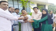 পরিবেশের বন্ধনে দুর্বার:চিতলমারীতে শিক্ষার্থীদের হাতে ২০০ ফল-ফুলের চারা