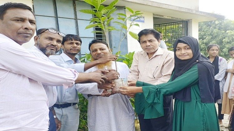 পরিবেশের বন্ধনে দুর্বার:চিতলমারীতে শিক্ষার্থীদের হাতে ২০০ ফল-ফুলের চারা