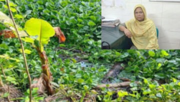 সাতক্ষীরার কলারোয়ায় ৫ দিনের নবজাতককে খালে ফেলে হত্যা, মা গ্রেপ্তার