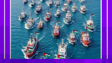 বিশ্বের নাগরিক উদ্যোগে অবরোধ ভাঙার চেষ্টায় সমুদ্রে অর্ধশতাধিক নৌযান