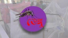 গলাচিপায় ডেঙ্গুতে আক্রান্ত হয়ে গৃহবধূর মৃত্যু