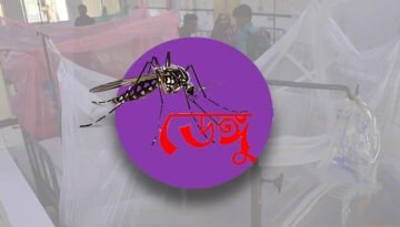 গলাচিপায় ডেঙ্গুতে আক্রান্ত হয়ে গৃহবধূর মৃত্যু