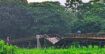 গলাচিপায় সেতু ভেঙে পড়ায় দুর্ভোগ, পুনর্নির্মাণের দাবিতে মানববন্ধন