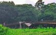 গলাচিপায় সেতু ভেঙে পড়ায় দুর্ভোগ, পুনর্নির্মাণের দাবিতে মানববন্ধন