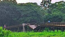 গলাচিপায় সেতু ভেঙে পড়ায় দুর্ভোগ, পুনর্নির্মাণের দাবিতে মানববন্ধন