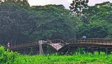 গলাচিপায় সেতু ভেঙে পড়ায় দুর্ভোগ, পুনর্নির্মাণের দাবিতে মানববন্ধন