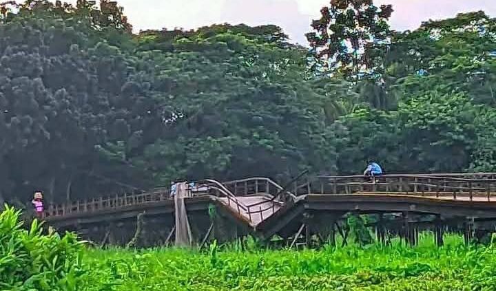 গলাচিপায় সেতু ভেঙে পড়ায় দুর্ভোগ, পুনর্নির্মাণের দাবিতে মানববন্ধন