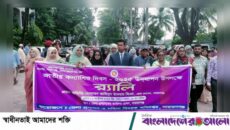 নারায়ণগঞ্জে কন্যাশিশু দিবসে র‍্যালি ও আলোচনা সভা অনুষ্ঠিত