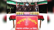 ঘুমধুম সীমান্তে বিজিবির অভিযানে ৪ লাখ ইয়াবা জব্দ