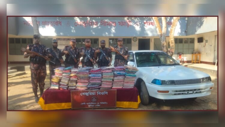 ফেনী সীমান্তে বিজিবির পৃথক অভিযানে ৩০ লাখ টাকার ভারতীয় পণ্য ও গাঁজা জব্দ