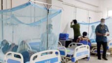 ডেঙ্গুতে আরও ৩ জনের মৃত্যু, আক্রান্ত ৫৫৬