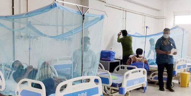 ডেঙ্গুতে আরও ৩ জনের মৃত্যু, আক্রান্ত ৫৫৬