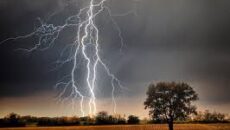 কোটালীপাড়ায় বজ্রপাতে মৎস্যজীবীর মৃত্যু