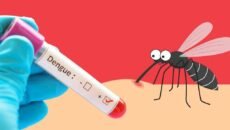 ডেঙ্গুতে আরও দুইজনের মৃত্যু, আক্রান্তের সংখ্যা প্রায় ৪৮ হাজার