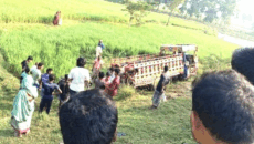 নওগাঁয় গরুবোঝাই ভুটভুটি উল্টে ২ গরুব্যবসায়ী নিহত, আহত ৭