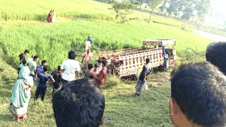 নওগাঁয় গরুবোঝাই ভুটভুটি উল্টে ২ গরুব্যবসায়ী নিহত, আহত ৭