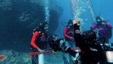 ওরিডু মালদ্বীপের ২০ বছর পূর্তিতে পানির নিচে বিশ্বরেকর্ড