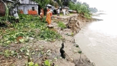 গাইবান্ধায় তীব্র নদীভাঙন: পানি কমলেও থামছে না দুঃস্বপ্ন