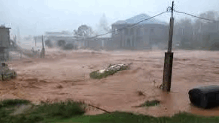 ক্যারিবীয়ানে ‘মেলিসা’র তাণ্ডব: ২৫০ কিমি বেগে আঘাত, নিহত ৭