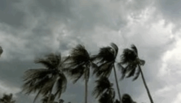 ৮ জেলায় ঝড়ো হাওয়ার আশঙ্কা দুপুর পর্যন্ত