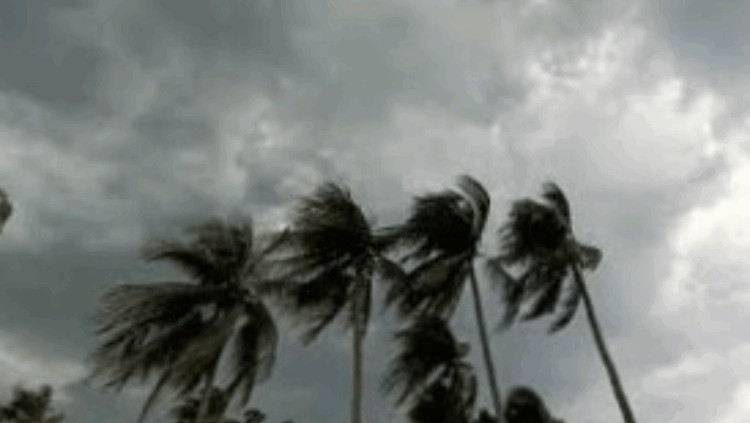 ৮ জেলায় ঝড়ো হাওয়ার আশঙ্কা দুপুর পর্যন্ত