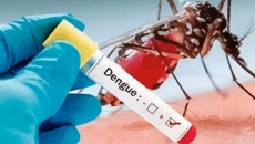 ডেঙ্গু আক্রান্ত হয়ে একদিনে ৫ জনের মৃত্যু, হাসপাতালে ভর্তি ৯৫৩