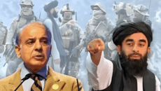 পাকিস্তান-আফগানিস্তান স্বল্পমেয়াদী যুদ্ধবিরতিতে সম্মত