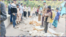 বাউফলে বাস থেকে ৪৬২ কেজি শাপলাপাতা মাছ জব্দ